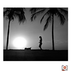 Woman standing on tree trunk