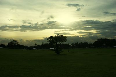 Scenic view of field against sky during sunset