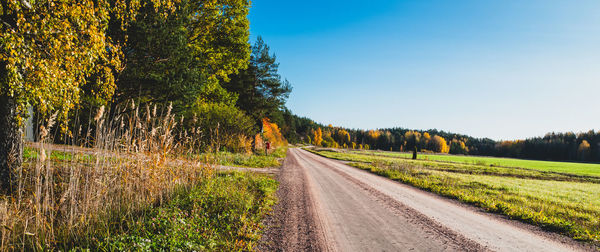 Road amidst trees against clear sky