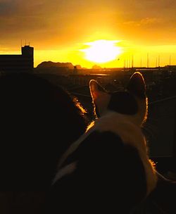 Scenic view of silhouette against sky during sunset