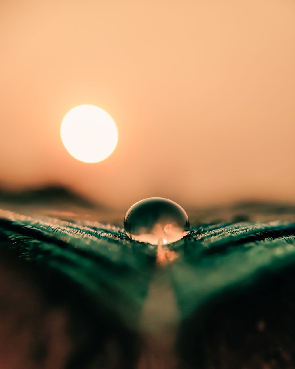 CLOSE-UP OF WATER DROPS ON ORANGE SKY