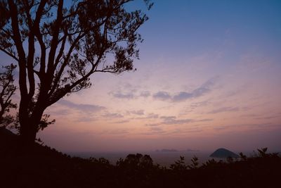 Silhouette tree against sky at sunset