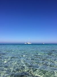 Sailboat sailing in sea against clear blue sky