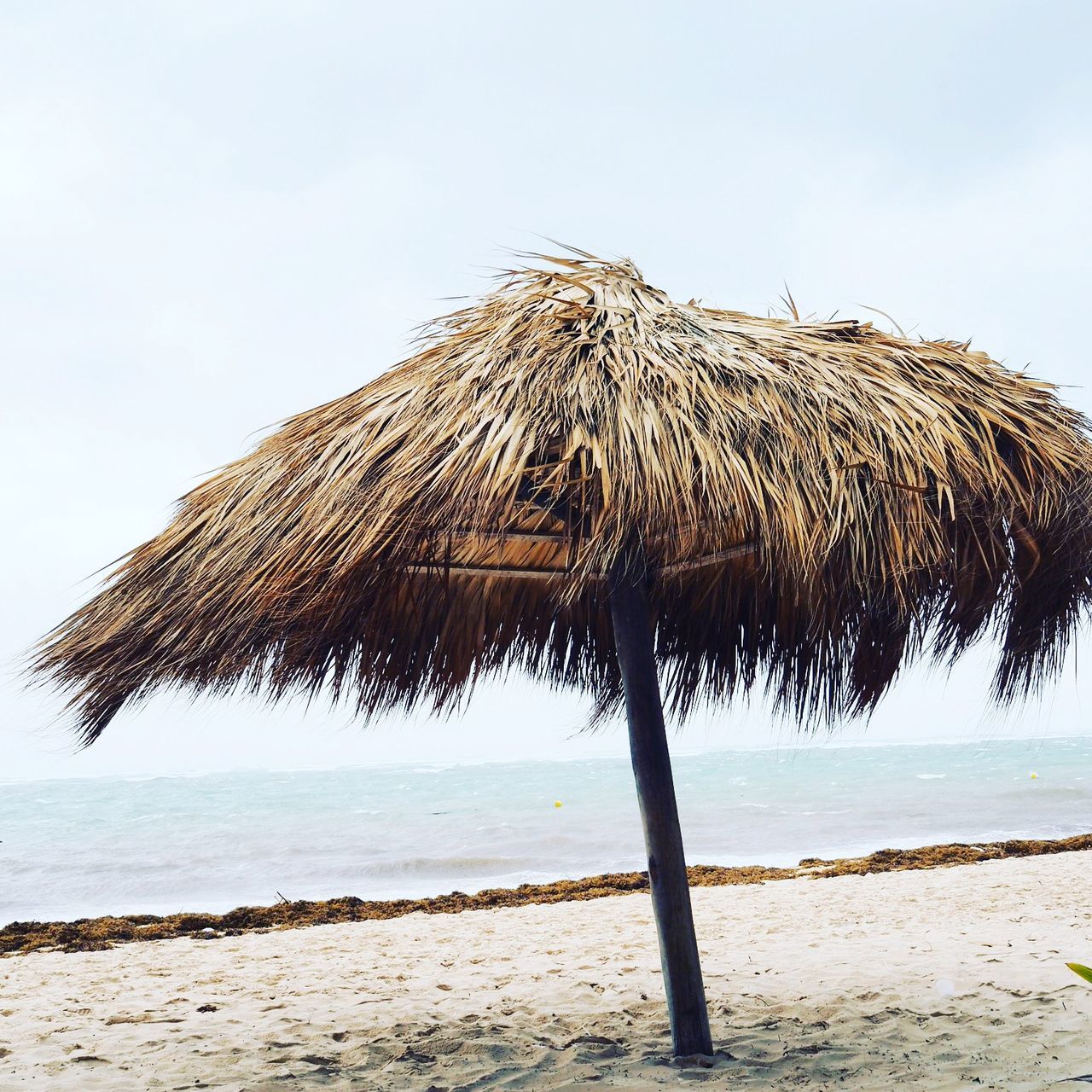 beach, sea, sand, shore, water, sky, horizon over water, tranquility, tranquil scene, nature, scenics, beauty in nature, clear sky, palm tree, thatched roof, day, sunlight, coastline, idyllic, outdoors