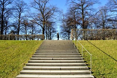 Trees on field against cloudy sky