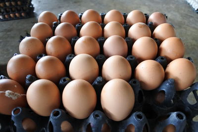 High angle view of eggs in container