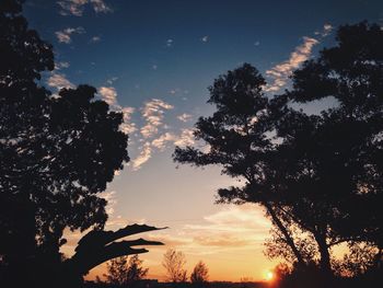 Low angle view of silhouette trees against sky at sunset