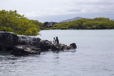 Scenic view of rocks in sea against sky