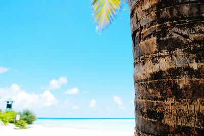 Close-up of beach against blue sky