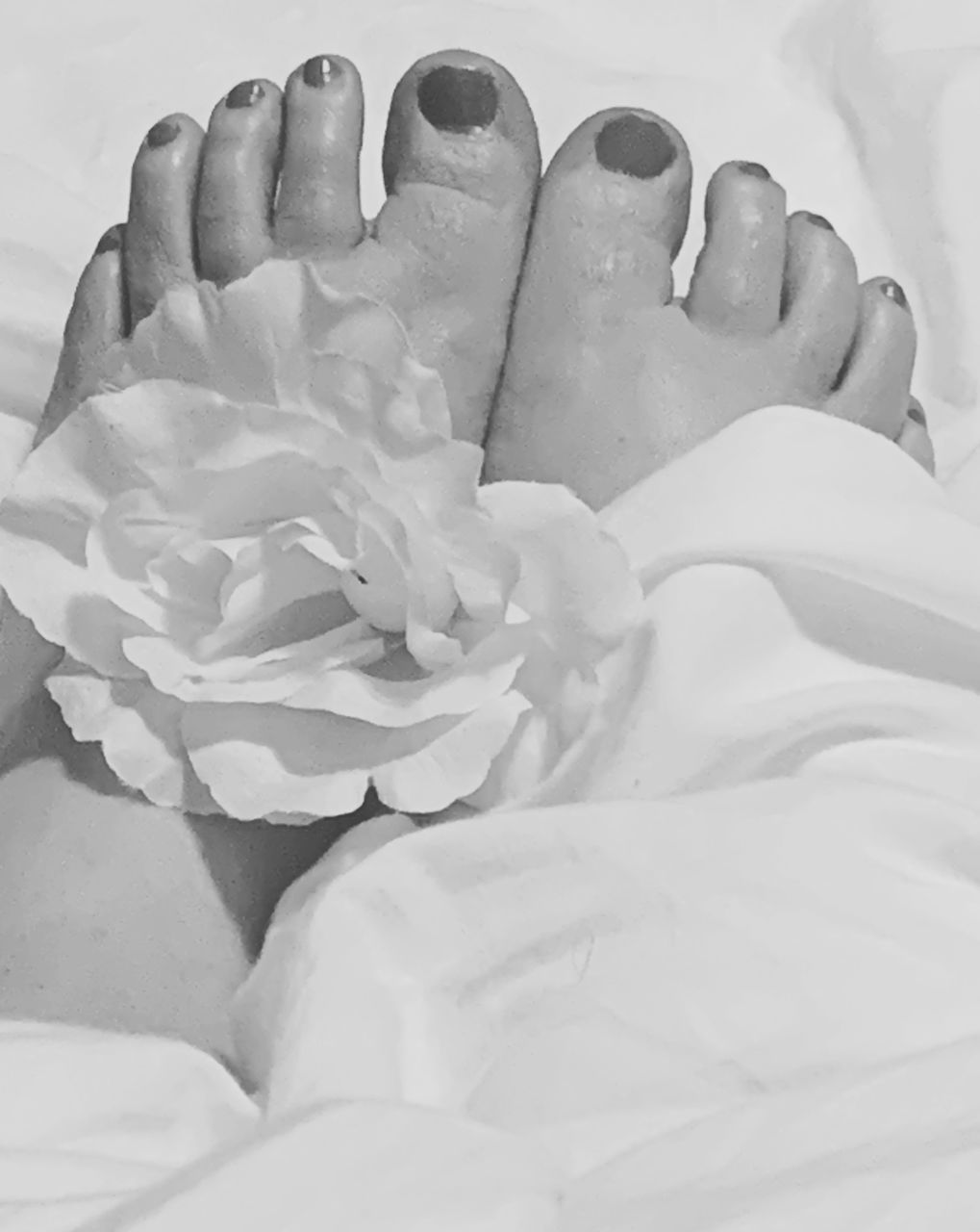 white, black and white, monochrome photography, flower, drawing, monochrome, petal, hand, one person, close-up, nature, human foot, indoors, flowering plant, women, adult, lifestyles, human leg, plant