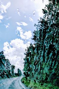 Road amidst trees against sky