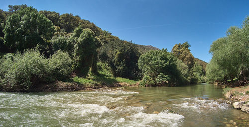 Scenic view of river against sky