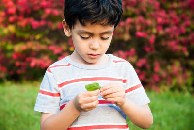 Close-up of boy holding leaf while standing on field