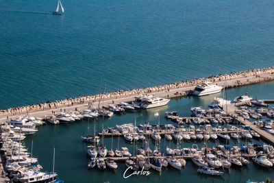 High angle view of sailboats moored at harbor