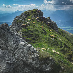 Rock formation on land against sky