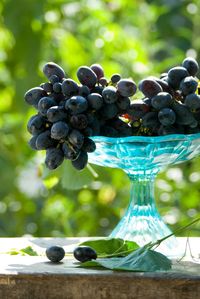 Close-up of grapes growing on table