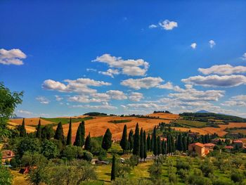 Scenic view of landscape against blue sky