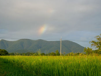 Scenic view of field against sky