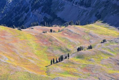 Timpanogos hiking trail landscape views in uinta wasatch cache national forest utah