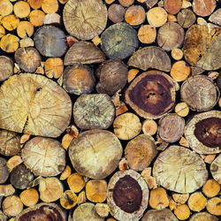 Full frame shot of logs in forest