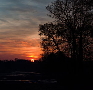 Silhouette trees on field against orange sky