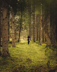 Rear view of man walking in forest