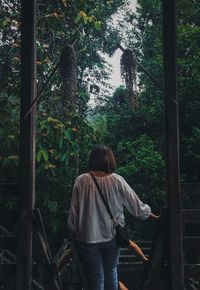 Rear view of man walking in forest