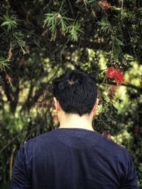 Rear view of man on plants against trees