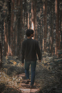 Rear view of young man standing in forest