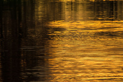 Scenic view of lake during sunset