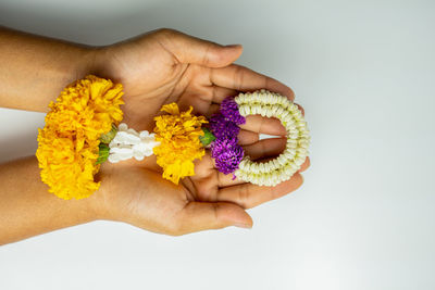 Close-up of woman hand holding yellow flowers against white background