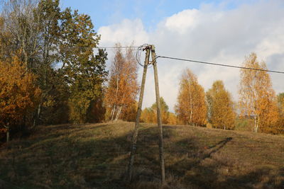 Trees on field against sky during autumn