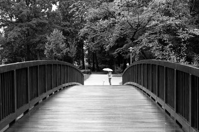 Wooden walkway with person standing by tree