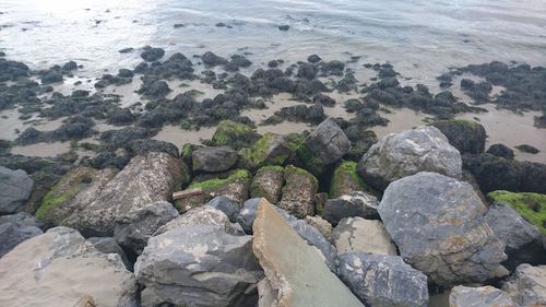 High angle view of rocks at shore