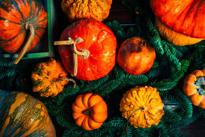 High angle view of pumpkins for sale