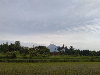 Scenic view of mount merapi erupting.