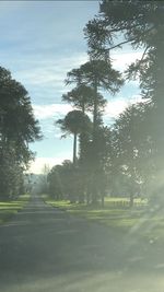 Road amidst trees on field against sky
