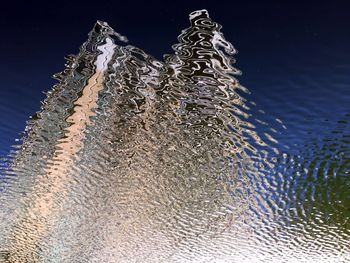 Reflection of trees in water