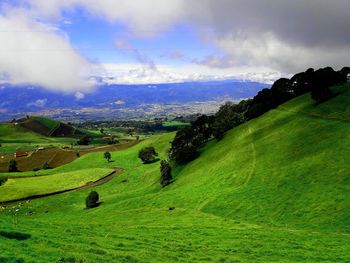 Scenic view of agricultural field against sky