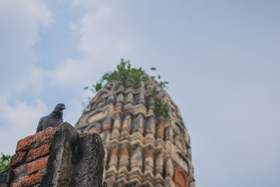 Low angle view of pigeon perching on bricks against sky 