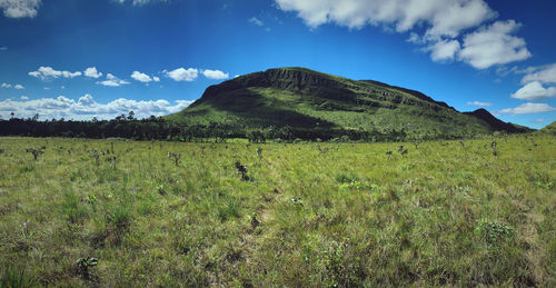 Scenic view of field against sky