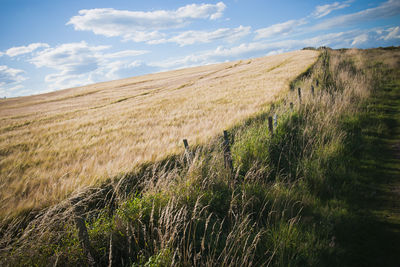 Scenic view of landscape against sky