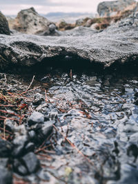 Close-up of river during winter