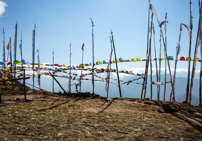 Wooden posts on beach against sky