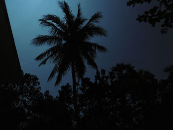 Low angle view of silhouette trees against sky at night