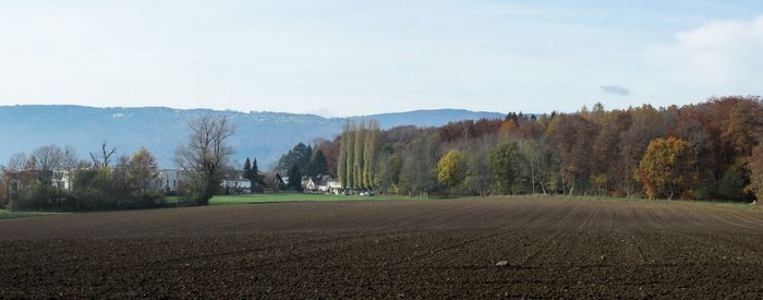 Scenic view of field against sky during autumn