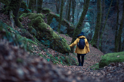 Rear view of woman in forest