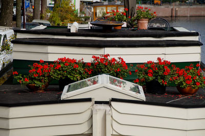 Potted plants on balcony