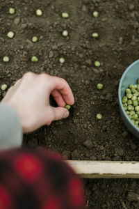 Cropped hand of woman holding food