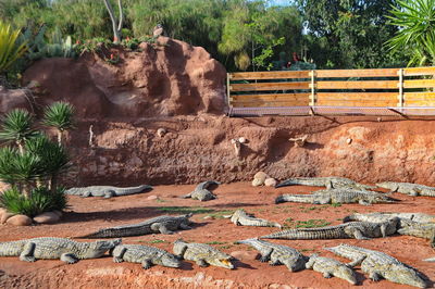 View of stone wall by rocks